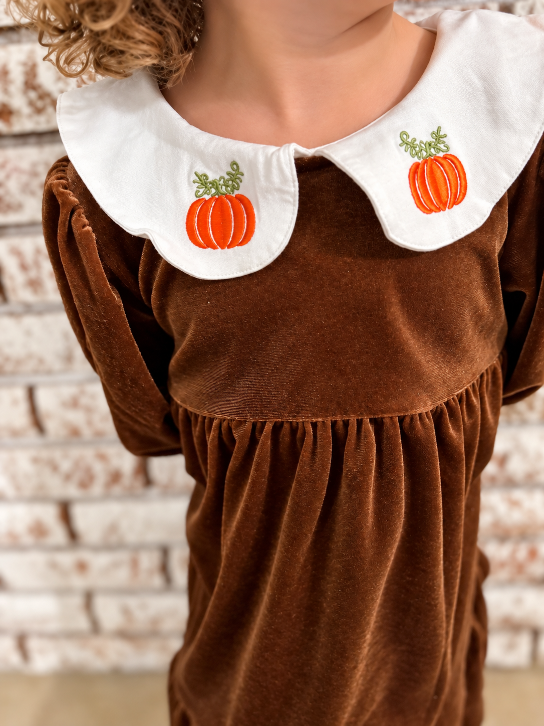 Pumpkin Embroidery Dress